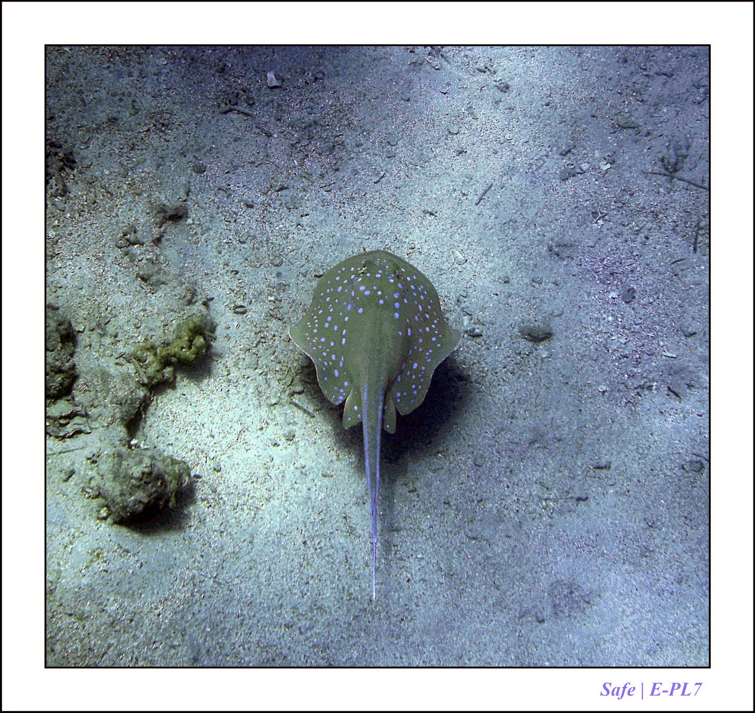 Hurghada - Juillet 2021 - 098